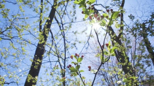 5 Easy Steps to Edit Photos in Canva with the New Modal App смотреть онлайн