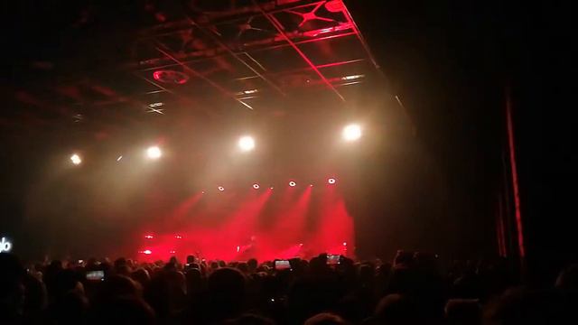 Daria Zawialow 29.11.2019 Klub Studio смотреть онлайн