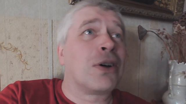 MC GORIN - Апельсины не растут