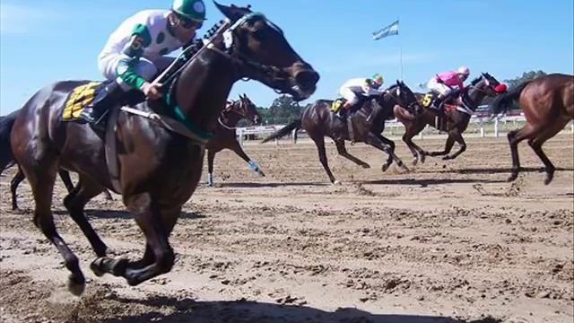 " Perla Fina " - Monguito Quián - son cubano ------------ Distrito Federal, Mx смотреть онлайн