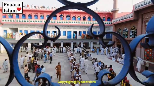 Charwaha aur Bismillah Per Yaqeen | Bismillah Ki Barkat aur Allah per Yaqeen | Pyaara Islam смотреть онлайн