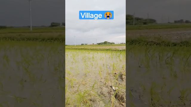 Village Story ? #Village #Story смотреть онлайн