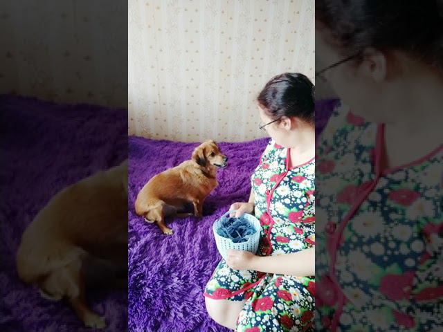 Из жизни.. смотреть онлайн