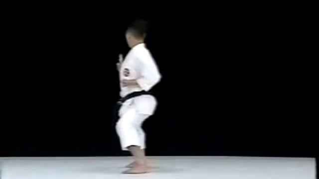 Шито-рю каратэ.Ката Дзион.Jion Shito Ryu