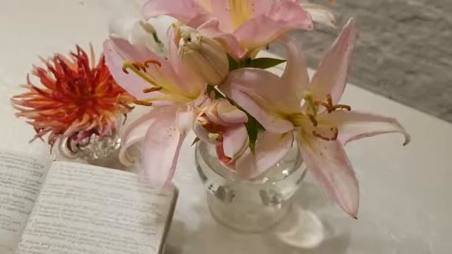 размышления о болезни - Gedanken über Krankheit - христианские стихи Mamas Gedicht 102 смотреть онлайн