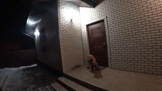 Судьба Арона.Южно-африканский бурбуль в холодном Питере. смотреть онлайн