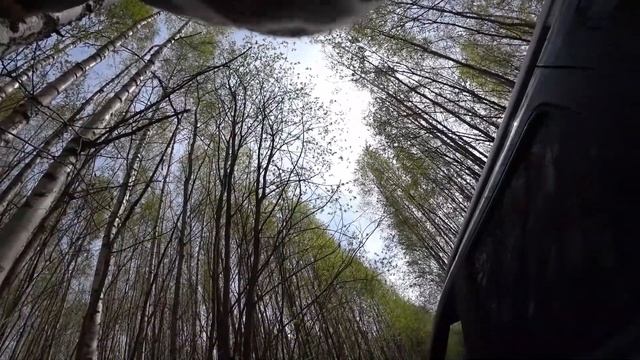 Поездка в урочище с.Подрелье / На что способен Ниссан Террано/ Рено Дастер смотреть онлайн