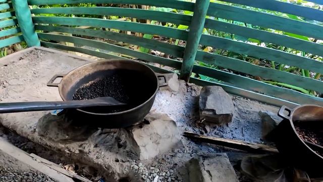 Доминикана. Экскурсии в Доминикане.