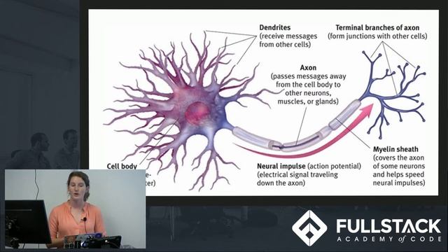 TensorFlow Tutorial - How to use TensorFlow to Build a Neural Network смотреть онлайн