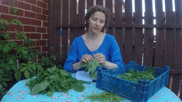 Спим на батуте Красим кирпичи Интриганка и врунья смотреть онлайн