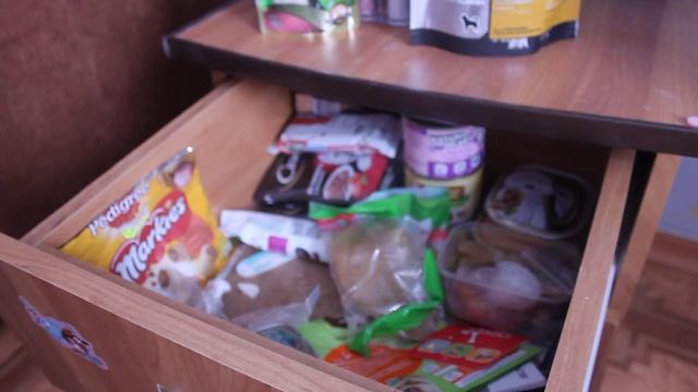 ВСЕ ЛАКОМСТВА МОЕЙ СОБАКИ!!! смотреть онлайн