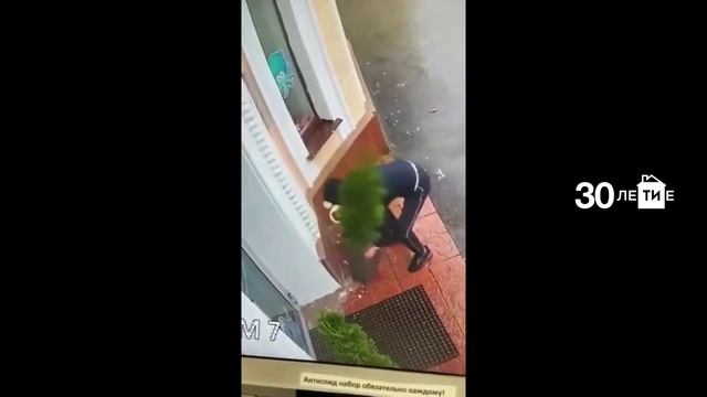 На видео попало, как в Казани мужчина украл от стоматологии тую в горшке смотреть онлайн