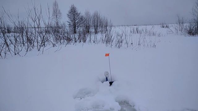"Глухозимье" в самом разгаре!!! Неожиданный результат! смотреть онлайн
