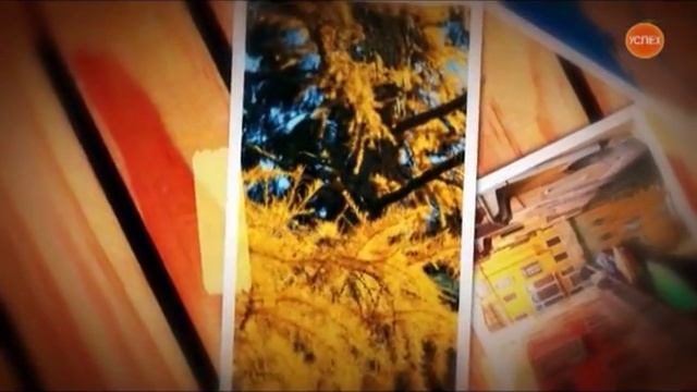 Мое дело. серия 56 Компания "Сибирские деревянные дома" смотреть онлайн
