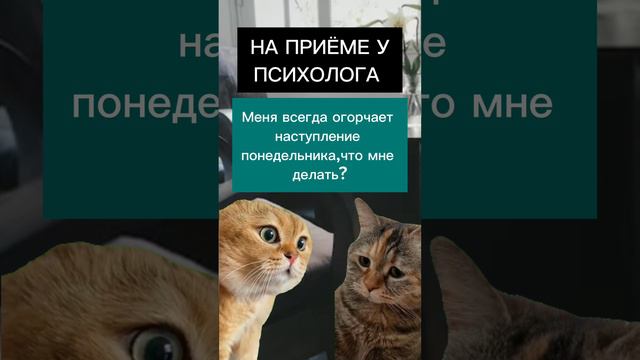 На приёме у психолога #психология #саморазвитие #мотивация #юмор смотреть онлайн
