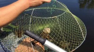 ИЩЕМ МЕСТО ДЛЯ ЛОВЛИ РАКОВ. ПРОСТОЙ СПОСОБ НАЛОВИТЬ РАКОВ РАКОЛОВКОЙ. МЕСТО ДЛЯ УСТАНОВКИ РАКОЛОВКИ