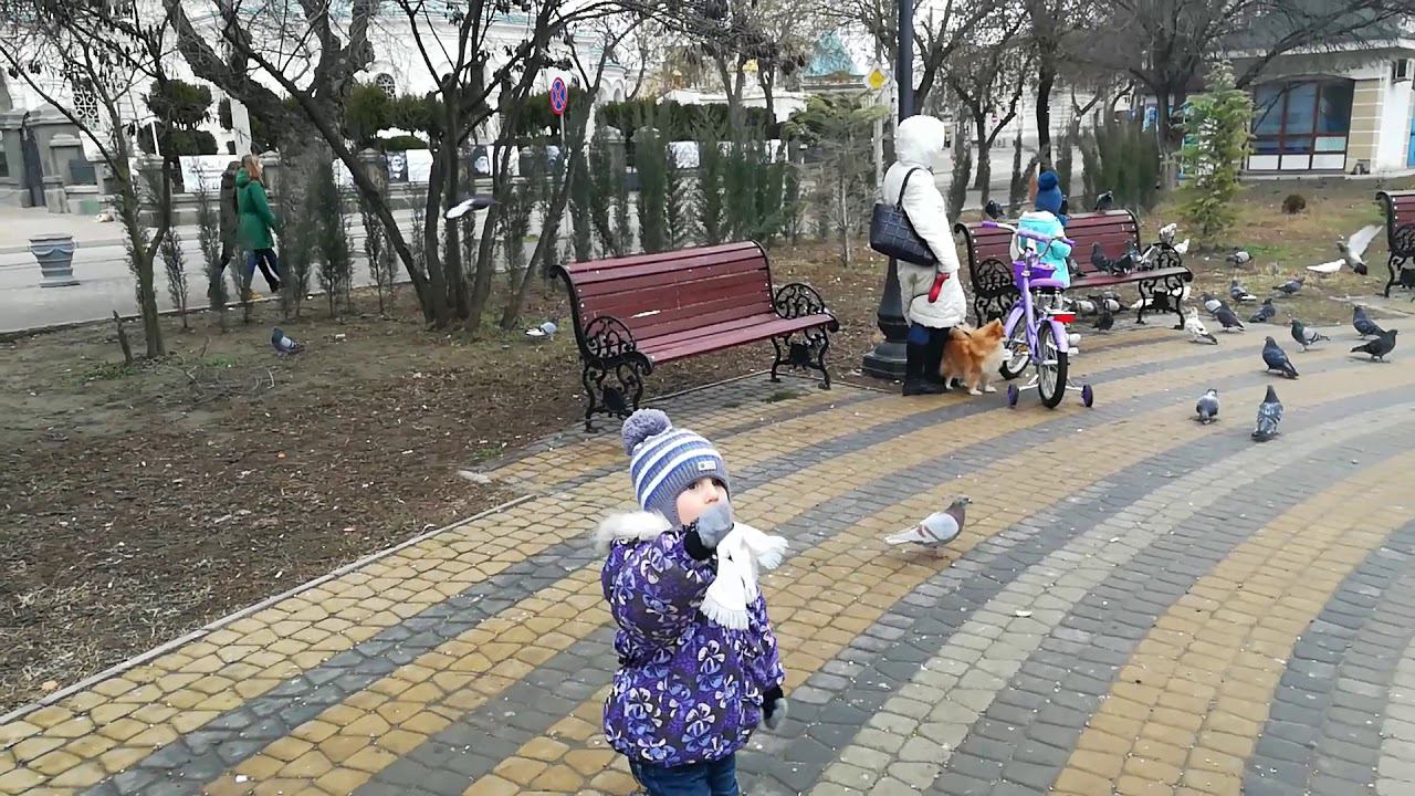 Тимофей_декабрь_2018_2 смотреть онлайн