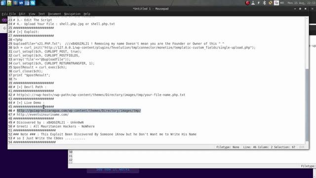 Wordpress Tevolution Plugin & Theme Directory Arbitrary Shell Upload Vulnerability | xBADGIRL21 смотреть онлайн