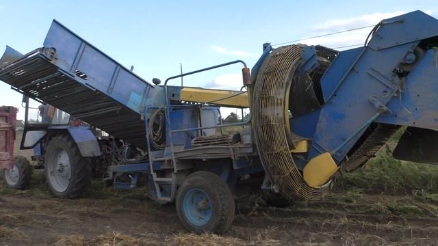 уборка картофеля комбайном Анна z 644 2019 смотреть онлайн