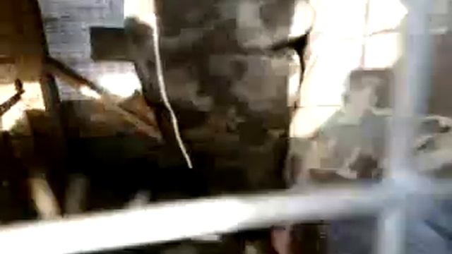 Цыган и барсук.