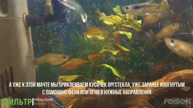 Аквариум. Фильтр. Уменьшение потока воды в аквариуме