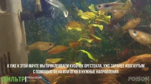 Аквариум. Фильтр. Уменьшение потока воды в аквариуме