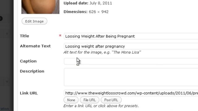 How to insert a photo in a wordpress blog post смотреть онлайн