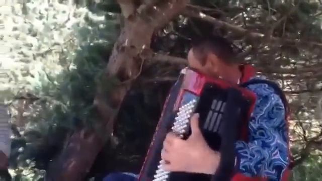 Аварская песня на баяне смотреть онлайн