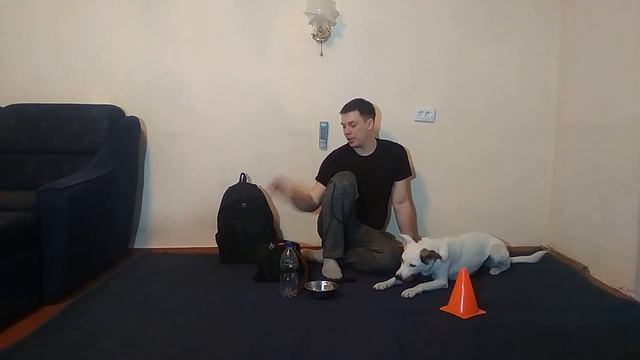 ЧТО Я БЕРУ НА ПРОГУЛКУ С СОБАКОЙ | КАК ГУЛЯТЬ С СОБАКОЙ |ДРЕССИРОВКА СОБАК | НЕМЕЦКАЯ ОВЧАРКА смотреть онлайн