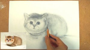 Как нарисовать кота поэтапно карандашом просто! Урок рисования для детей и взрослых.