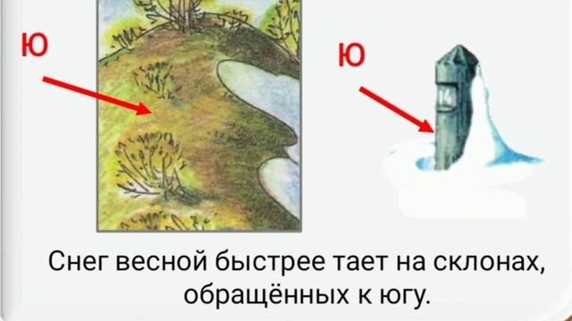 Детский учебный канал "По секрету всему свету" представляет "Горизонт и стороны горизонта" смотреть онлайн
