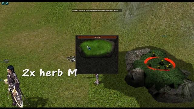 [Metin2 Ekura] DropZeus1 & Mandy20 - WeekTage #2 |DayLight| смотреть онлайн