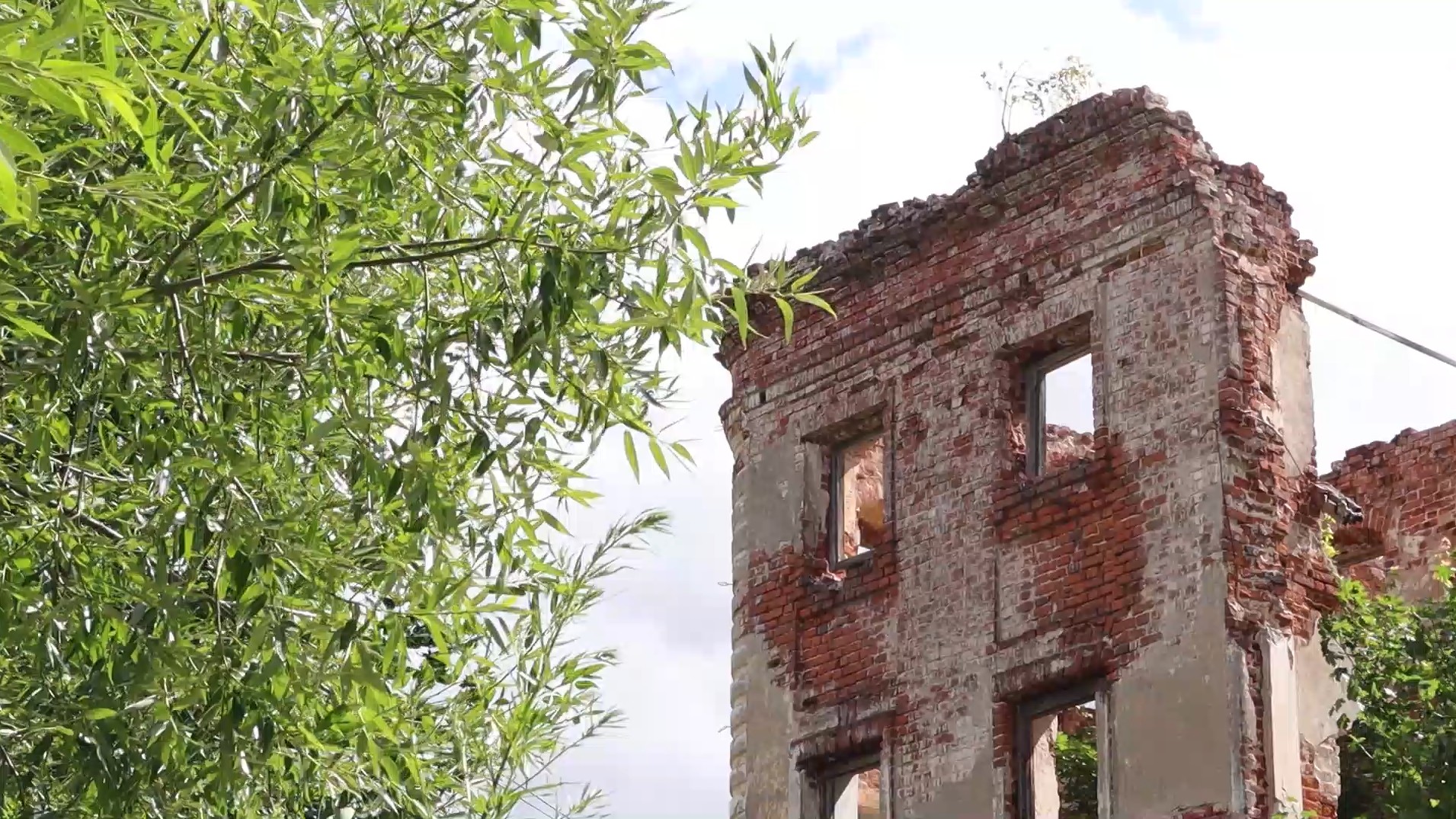 10 июля 2023. Экскурсия и пленэр в усадьбе Белкино смотреть онлайн