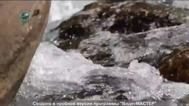 Промо-ролик смотреть онлайн