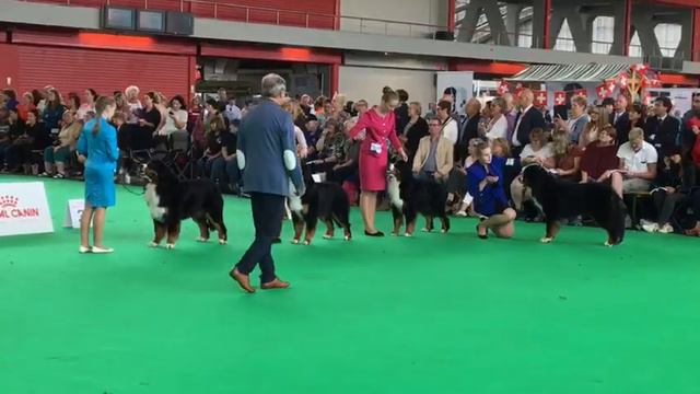 WDS 2018. смотреть онлайн