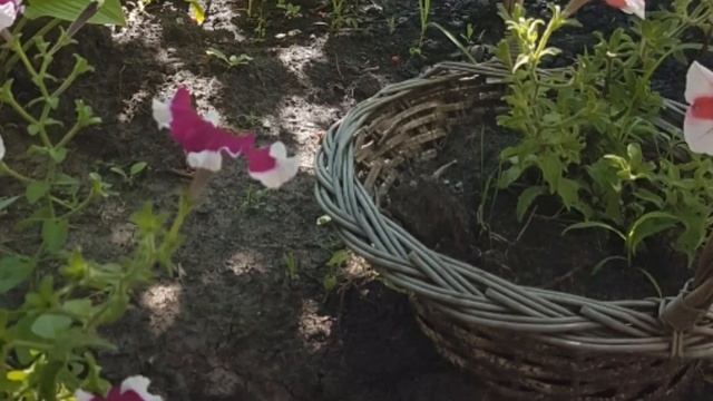 Начни утро с таких слов. смотреть онлайн