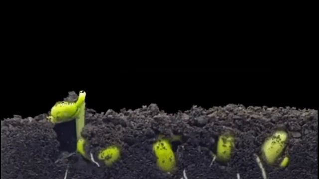 #Сільпо Досягнення смотреть онлайн
