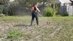 Покос  картофельной ботвы триммером.