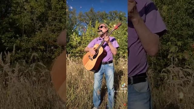 Танцы на траве. (Гармошка и гитара)