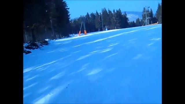 Schwarzwaldgrüsse An Bad Schwalbach