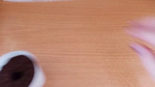 ПИКИРОВКА РАССАДЫ ИЗ САМОКРУТКИ / ВСЁ ЛЕГКО И ПРОСТО!!! смотреть онлайн