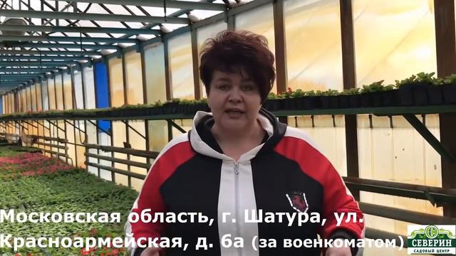 Приглашаем на открытие садового центра 