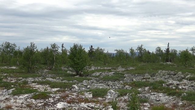 Хальтумп смотреть онлайн