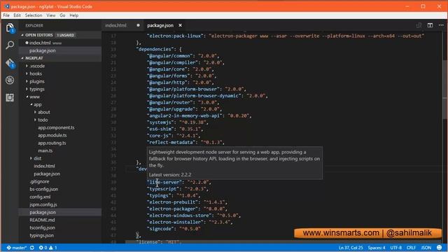 VSCode Package JSON смотреть онлайн