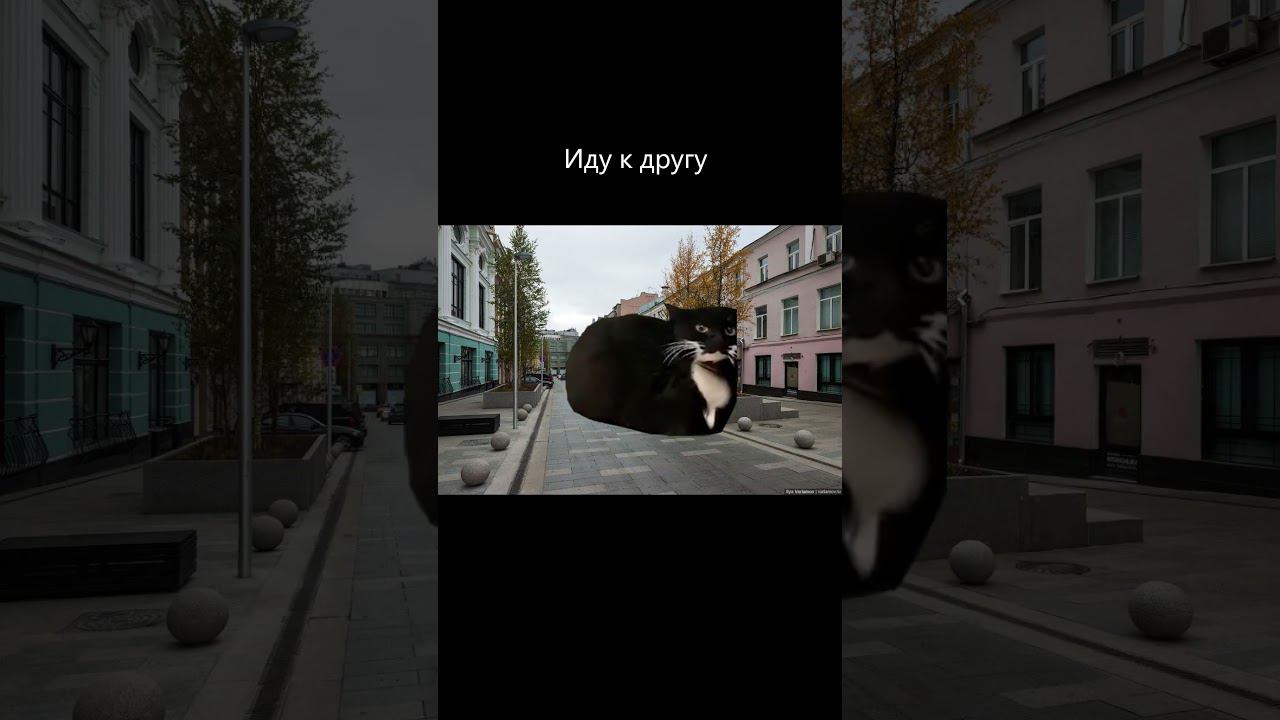 Рил Мой день 2 часть #shorts #catshorts смотреть онлайн