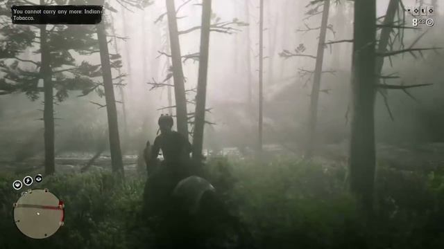 Historical Accuracy of Firearms in Red Dead Online смотреть онлайн