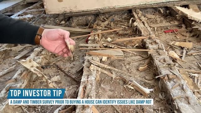 Dry Rot: How it can Destroy a Property смотреть онлайн