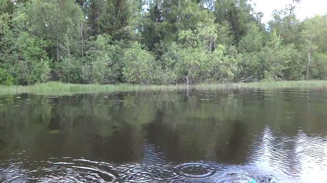 Рифы-Парадиз