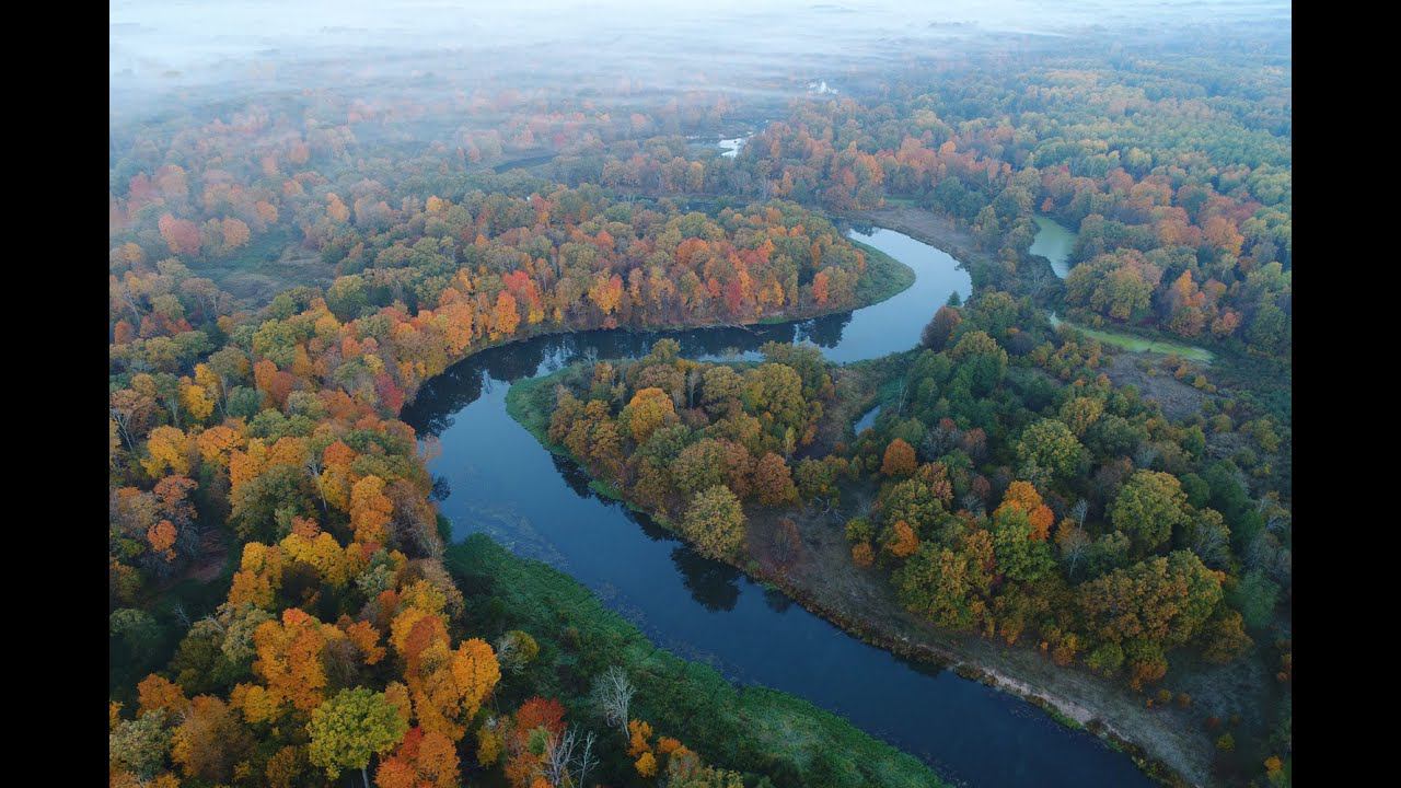 #дрон #mavik #naturesounds #shorts #nature #4k #russia #novgorod #природа #остров #река #russia #4k
