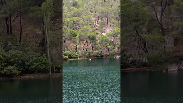 Национальный парк КРКА в Хорватии смотреть онлайн